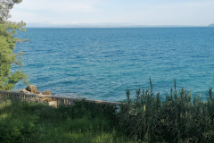 IMG-20230519-WA0013