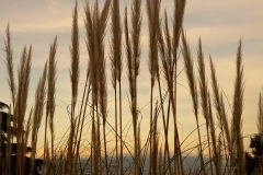 IMG-20230519-WA0016