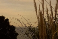 IMG-20230519-WA0017