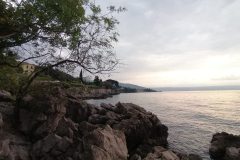 IMG-20230520-WA0006