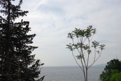 IMG-20230520-WA0019