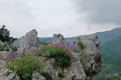 IMG-20230520-WA0027