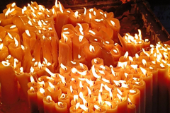 K005