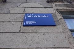 Višnja011