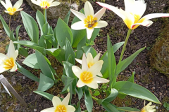 041